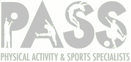 Silver Package Logo